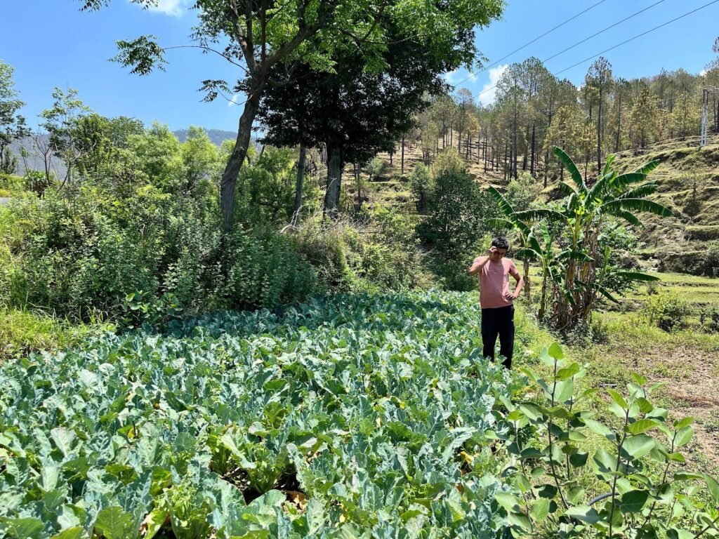 आधुनिक खेती से आत्मनिर्भर बने नरेश भट्ट, गांव में रोजगार की नई मिसाल