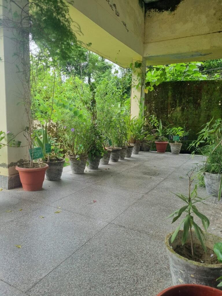 डीएम स्वाति एस. भदौरिया के निर्देशन में औषधीय एवं सुगंधित पौधों के रोपण से पर्यावरण संरक्षण और जनस्वास्थ्य को मिल रही नयी दिशा